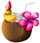 an exotic coconut cocktail